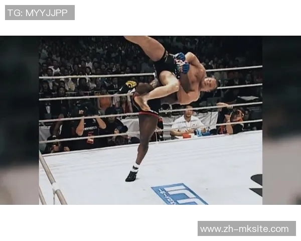 凯文兰德尔曼与菲多的巅峰对决谁将成为最终胜者